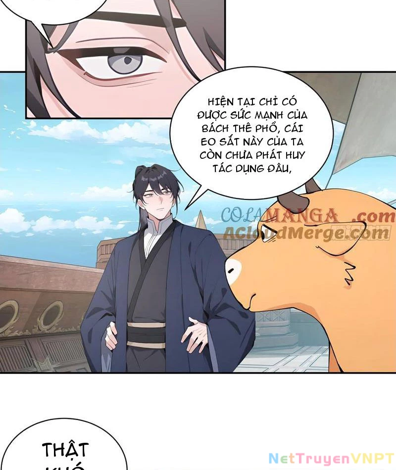 Bách Thê Phổ: Thánh Nữ Đều Gọi Ta Là Phu Quân Chapter 49 - Trang 2