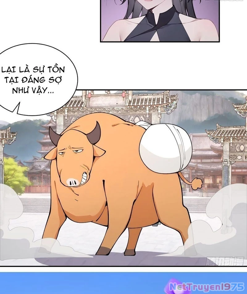 Bách Thê Phổ: Thánh Nữ Đều Gọi Ta Là Phu Quân Chapter 50 - Trang 2