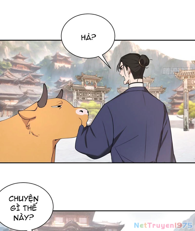 Bách Thê Phổ: Thánh Nữ Đều Gọi Ta Là Phu Quân Chapter 50 - Trang 2
