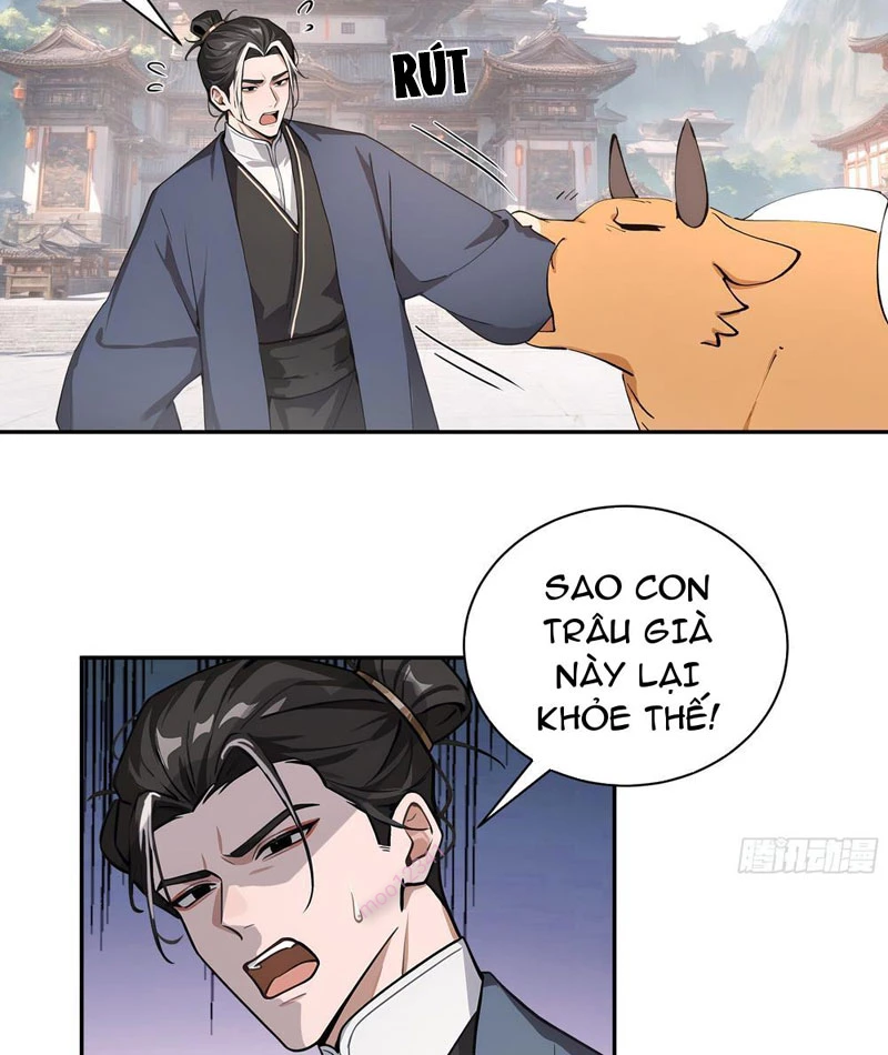 Bách Thê Phổ: Thánh Nữ Đều Gọi Ta Là Phu Quân Chapter 50 - Trang 2