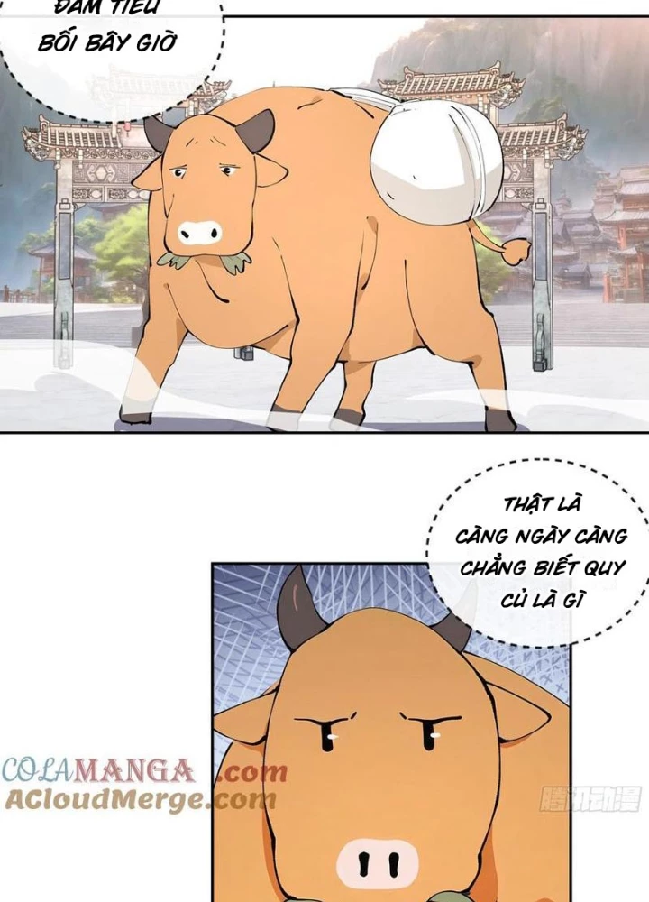 Bách Thê Phổ: Thánh Nữ Đều Gọi Ta Là Phu Quân Chapter 51 - Trang 2