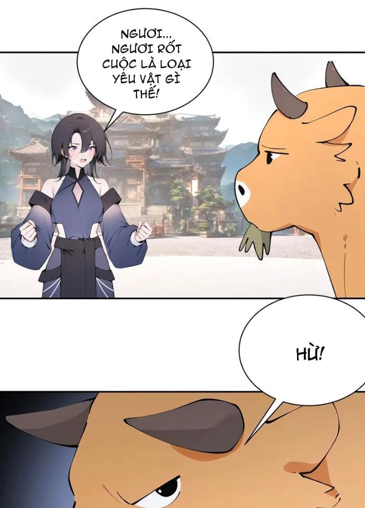 Bách Thê Phổ: Thánh Nữ Đều Gọi Ta Là Phu Quân Chapter 51 - Trang 2