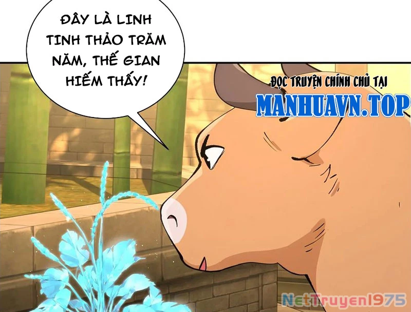 Bách Thê Phổ: Thánh Nữ Đều Gọi Ta Là Phu Quân Chapter 52 - Trang 2