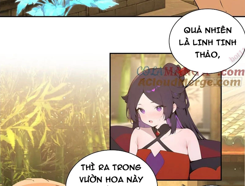 Bách Thê Phổ: Thánh Nữ Đều Gọi Ta Là Phu Quân Chapter 52 - Trang 2