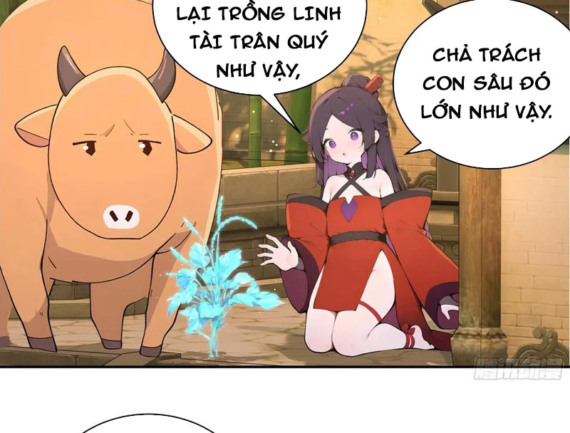 Bách Thê Phổ: Thánh Nữ Đều Gọi Ta Là Phu Quân Chapter 52 - Trang 2