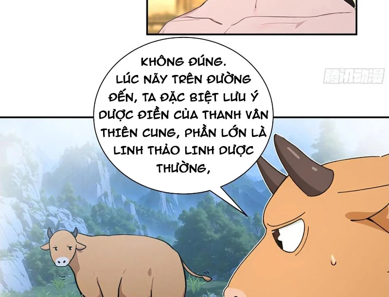 Bách Thê Phổ: Thánh Nữ Đều Gọi Ta Là Phu Quân Chapter 52 - Trang 2