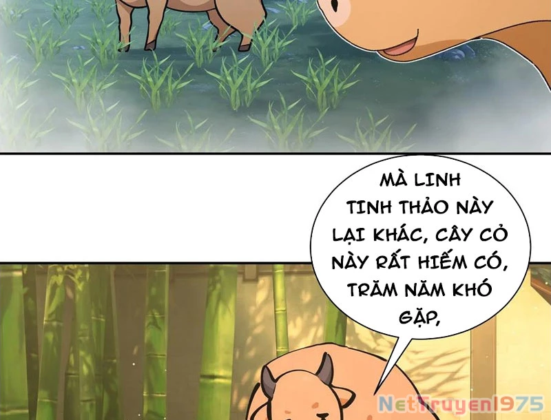 Bách Thê Phổ: Thánh Nữ Đều Gọi Ta Là Phu Quân Chapter 52 - Trang 2