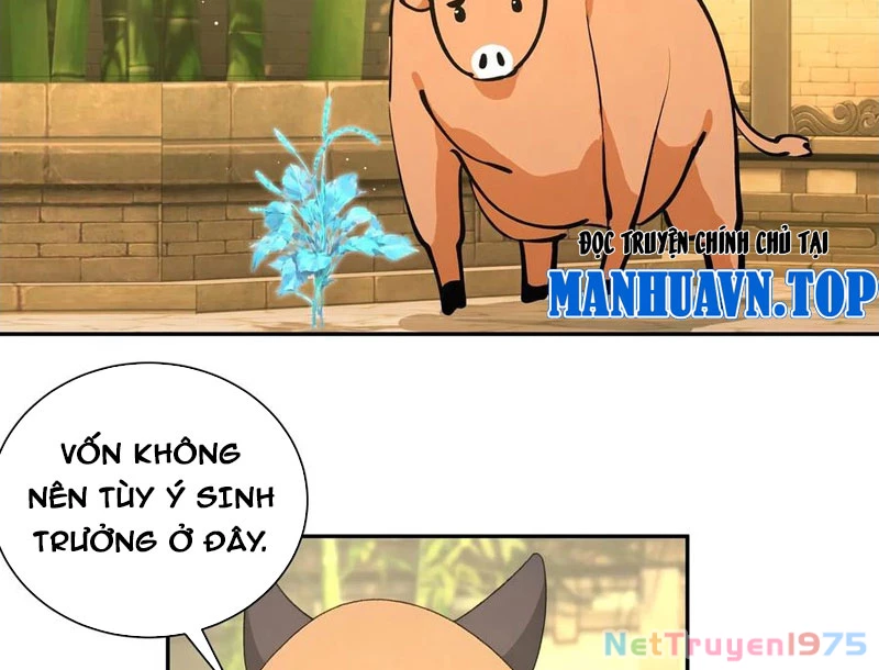 Bách Thê Phổ: Thánh Nữ Đều Gọi Ta Là Phu Quân Chapter 52 - Trang 2