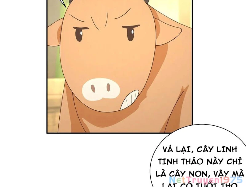 Bách Thê Phổ: Thánh Nữ Đều Gọi Ta Là Phu Quân Chapter 52 - Trang 2