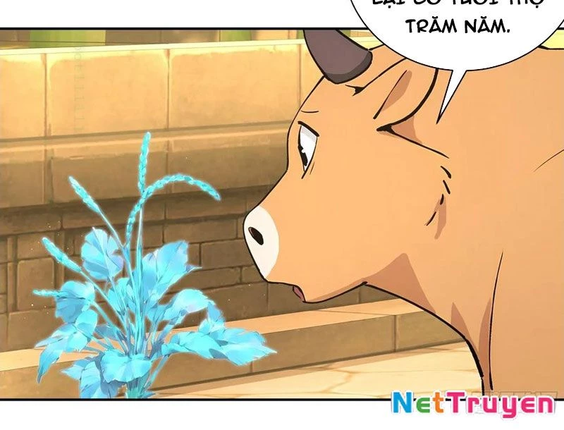 Bách Thê Phổ: Thánh Nữ Đều Gọi Ta Là Phu Quân Chapter 52 - Trang 2