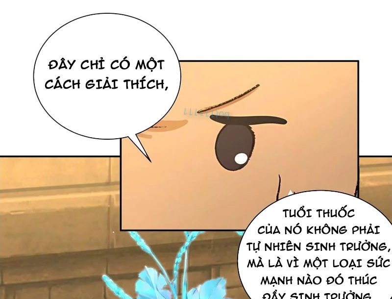 Bách Thê Phổ: Thánh Nữ Đều Gọi Ta Là Phu Quân Chapter 52 - Trang 2