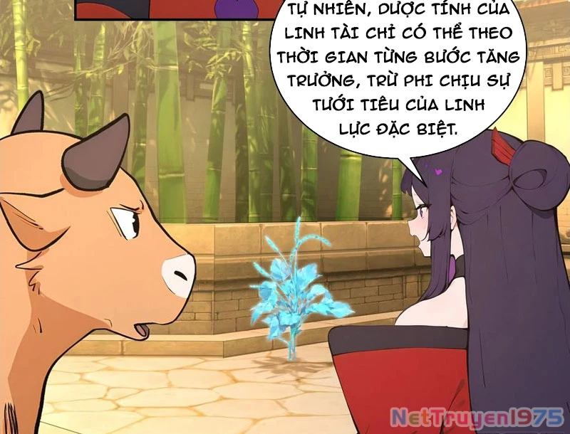 Bách Thê Phổ: Thánh Nữ Đều Gọi Ta Là Phu Quân Chapter 52 - Trang 2