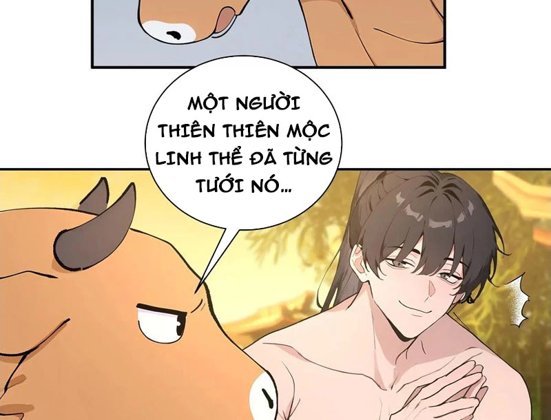 Bách Thê Phổ: Thánh Nữ Đều Gọi Ta Là Phu Quân Chapter 52 - Trang 2