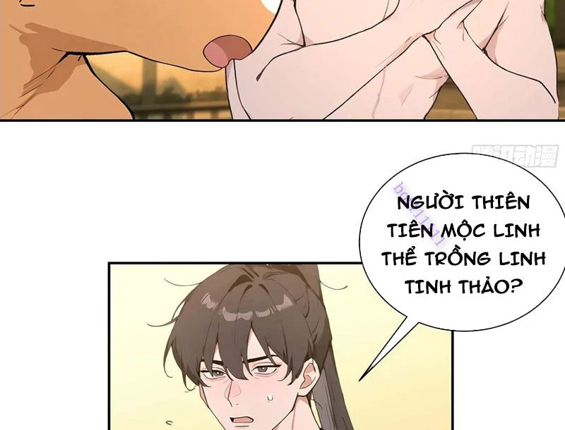 Bách Thê Phổ: Thánh Nữ Đều Gọi Ta Là Phu Quân Chapter 52 - Trang 2