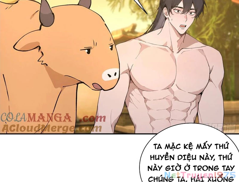 Bách Thê Phổ: Thánh Nữ Đều Gọi Ta Là Phu Quân Chapter 52 - Trang 2