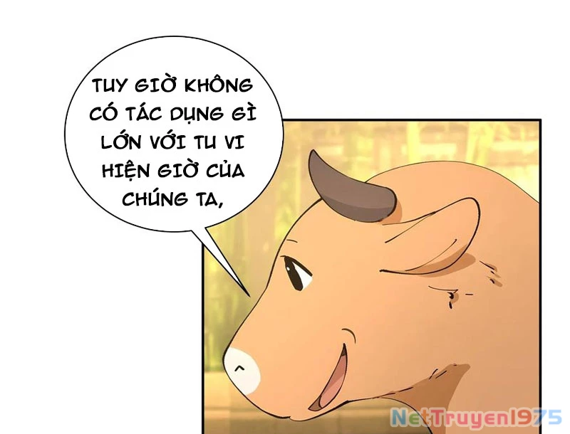 Bách Thê Phổ: Thánh Nữ Đều Gọi Ta Là Phu Quân Chapter 52 - Trang 2