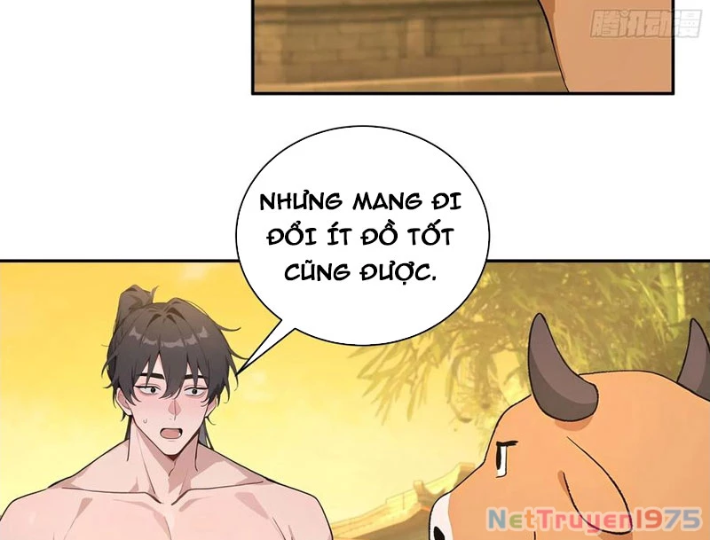 Bách Thê Phổ: Thánh Nữ Đều Gọi Ta Là Phu Quân Chapter 52 - Trang 2