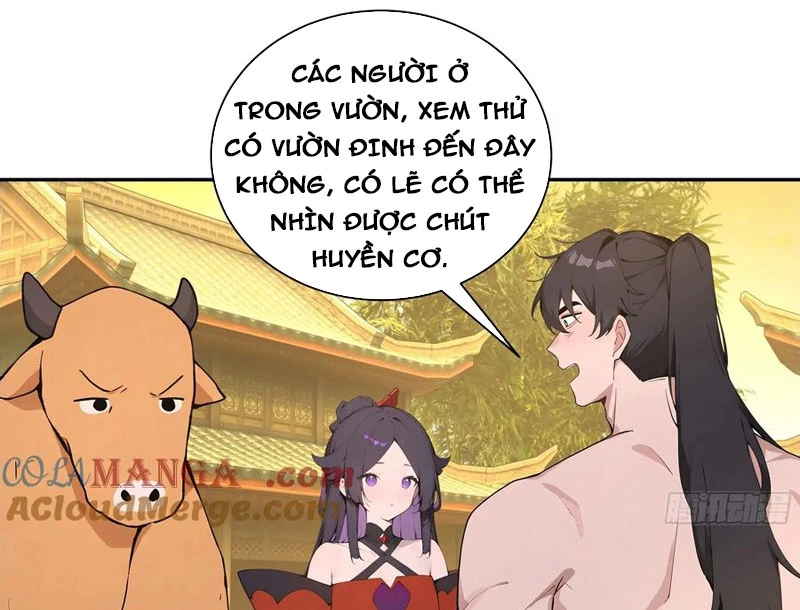 Bách Thê Phổ: Thánh Nữ Đều Gọi Ta Là Phu Quân Chapter 52 - Trang 2