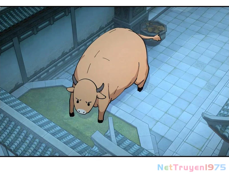 Bách Thê Phổ: Thánh Nữ Đều Gọi Ta Là Phu Quân Chapter 52 - Trang 2