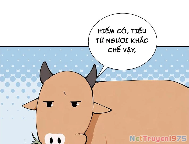 Bách Thê Phổ: Thánh Nữ Đều Gọi Ta Là Phu Quân Chapter 52 - Trang 2