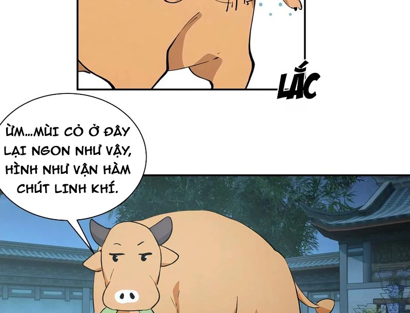 Bách Thê Phổ: Thánh Nữ Đều Gọi Ta Là Phu Quân Chapter 52 - Trang 2