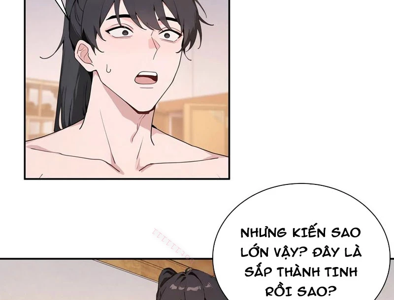 Bách Thê Phổ: Thánh Nữ Đều Gọi Ta Là Phu Quân Chapter 52 - Trang 2