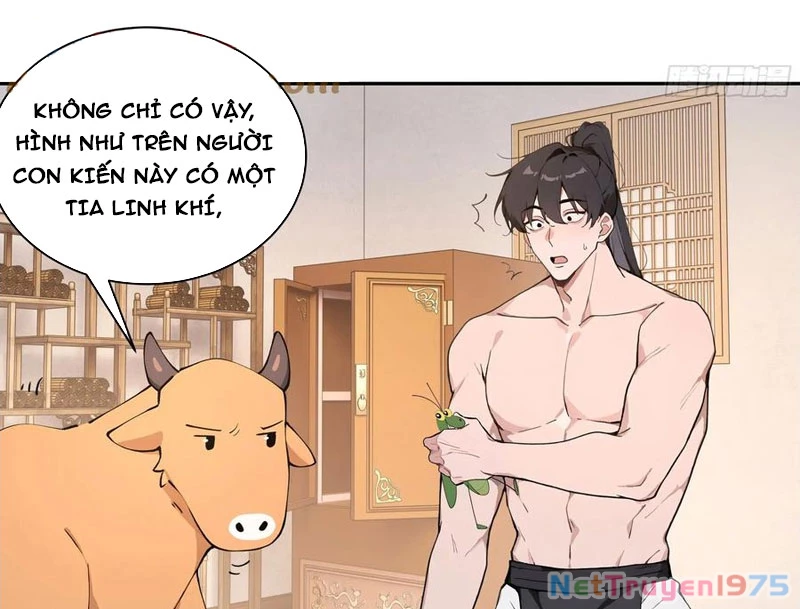 Bách Thê Phổ: Thánh Nữ Đều Gọi Ta Là Phu Quân Chapter 52 - Trang 2