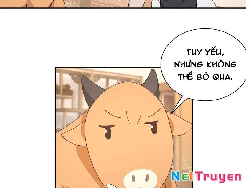 Bách Thê Phổ: Thánh Nữ Đều Gọi Ta Là Phu Quân Chapter 52 - Trang 2