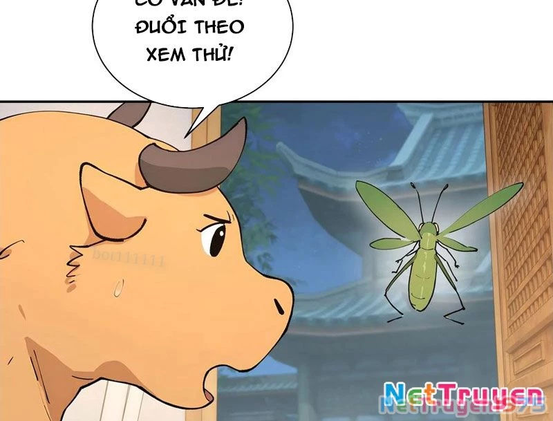 Bách Thê Phổ: Thánh Nữ Đều Gọi Ta Là Phu Quân Chapter 52 - Trang 2