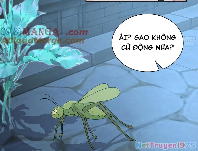 Bách Thê Phổ: Thánh Nữ Đều Gọi Ta Là Phu Quân Chapter 52 - Trang 2