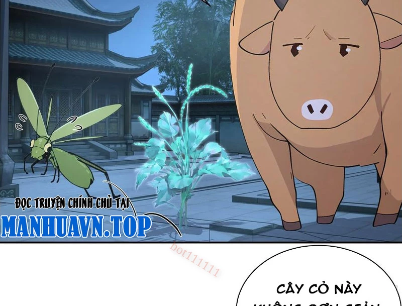 Bách Thê Phổ: Thánh Nữ Đều Gọi Ta Là Phu Quân Chapter 52 - Trang 2