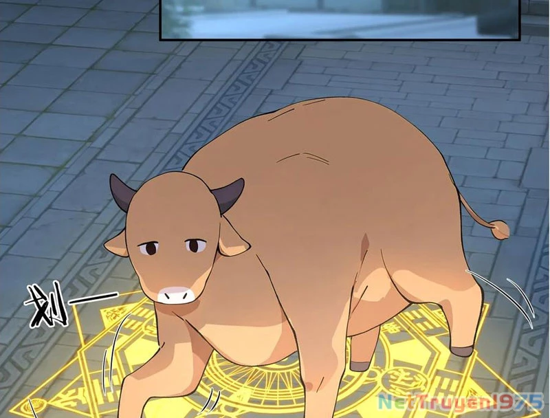 Bách Thê Phổ: Thánh Nữ Đều Gọi Ta Là Phu Quân Chapter 52 - Trang 2