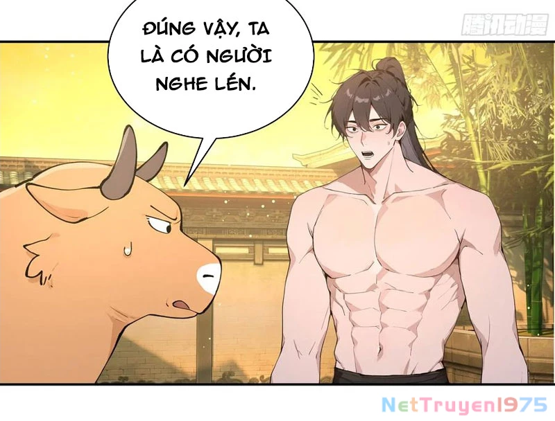 Bách Thê Phổ: Thánh Nữ Đều Gọi Ta Là Phu Quân Chapter 52 - Trang 2