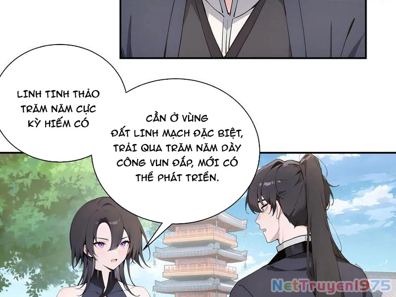 Bách Thê Phổ: Thánh Nữ Đều Gọi Ta Là Phu Quân Chapter 55 - Trang 2