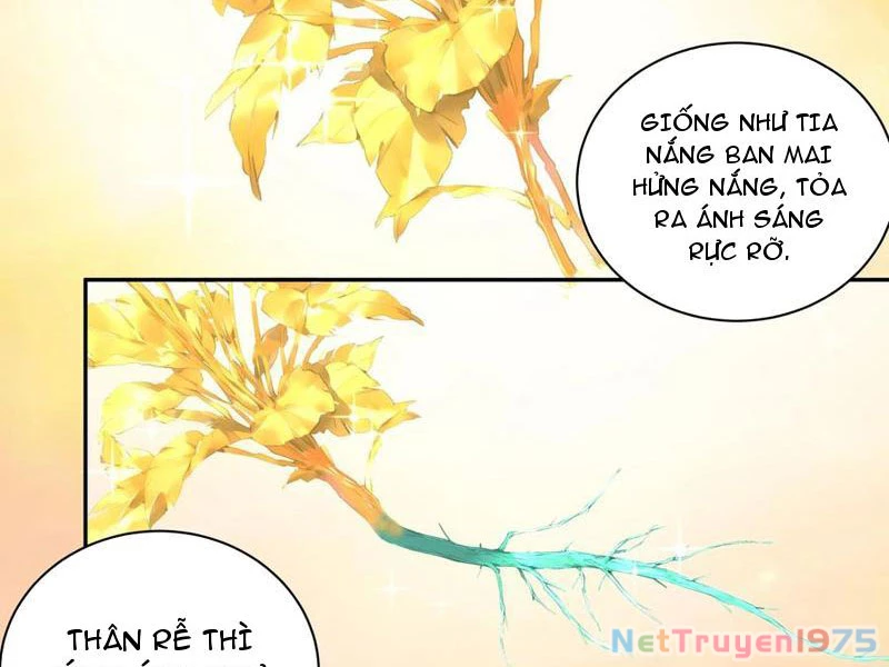 Bách Thê Phổ: Thánh Nữ Đều Gọi Ta Là Phu Quân Chapter 55 - Trang 2