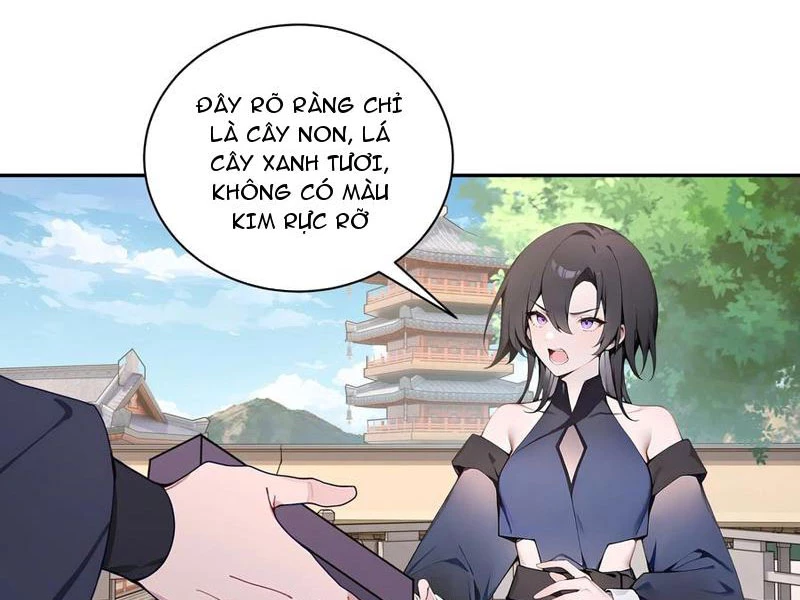 Bách Thê Phổ: Thánh Nữ Đều Gọi Ta Là Phu Quân Chapter 55 - Trang 2