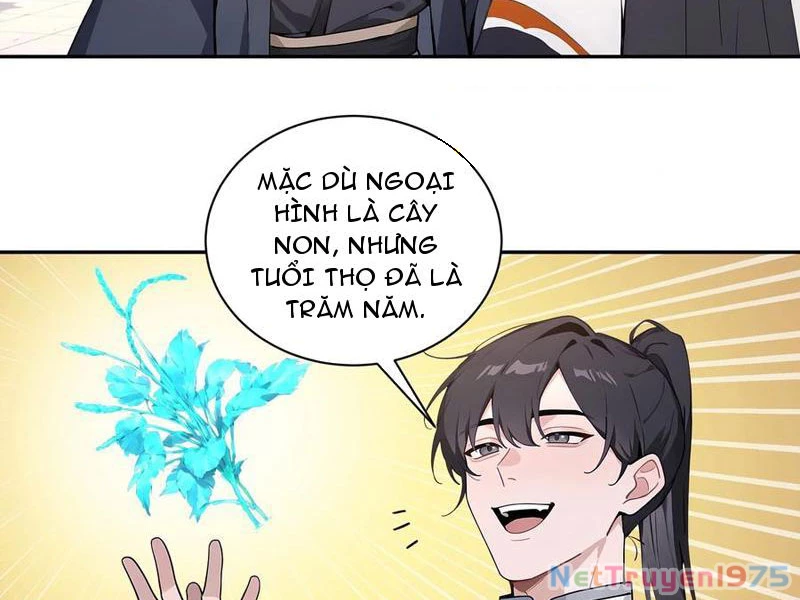 Bách Thê Phổ: Thánh Nữ Đều Gọi Ta Là Phu Quân Chapter 55 - Trang 2