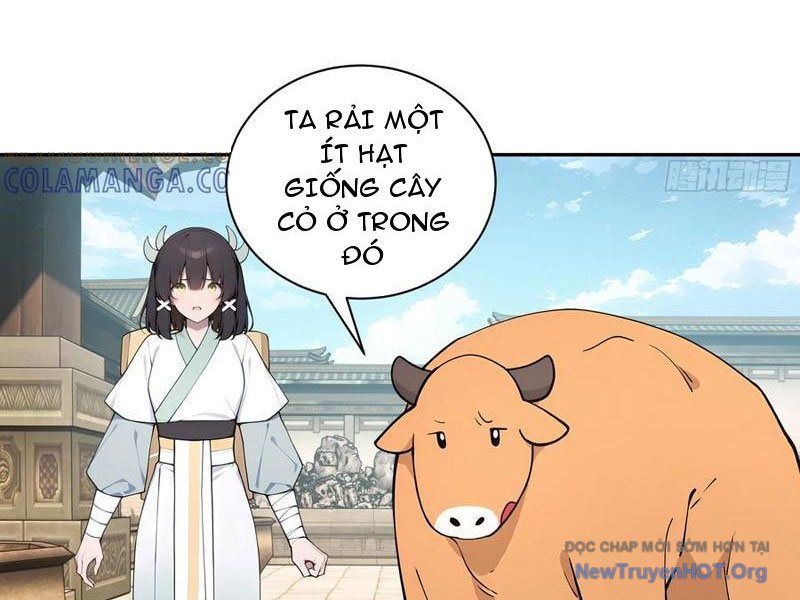 Bách Thê Phổ: Thánh Nữ Đều Gọi Ta Là Phu Quân Chapter 64 - Trang 2