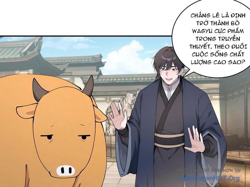 Bách Thê Phổ: Thánh Nữ Đều Gọi Ta Là Phu Quân Chapter 64 - Trang 2