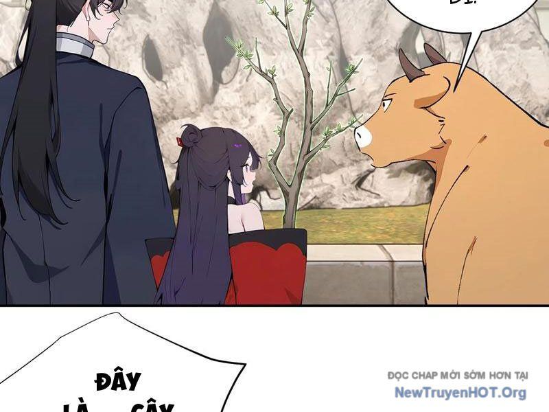 Bách Thê Phổ: Thánh Nữ Đều Gọi Ta Là Phu Quân Chapter 64 - Trang 2