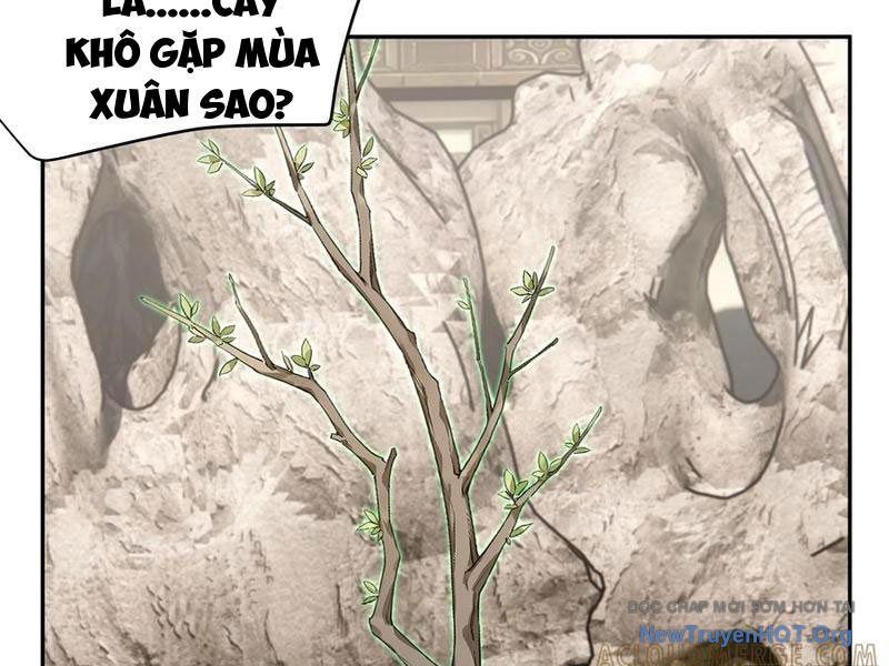 Bách Thê Phổ: Thánh Nữ Đều Gọi Ta Là Phu Quân Chapter 64 - Trang 2
