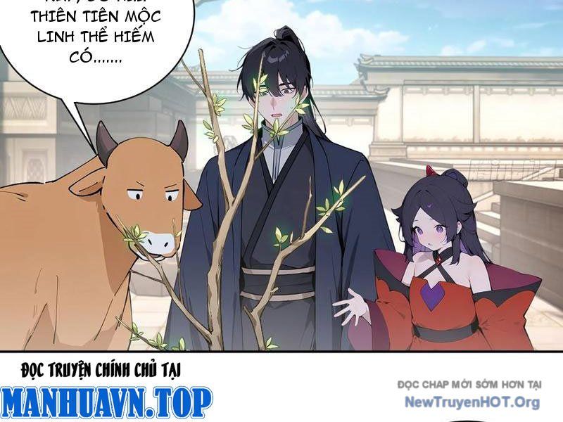 Bách Thê Phổ: Thánh Nữ Đều Gọi Ta Là Phu Quân Chapter 64 - Trang 2