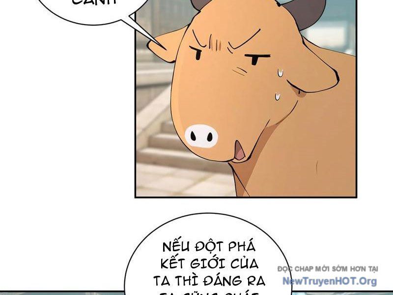 Bách Thê Phổ: Thánh Nữ Đều Gọi Ta Là Phu Quân Chapter 64 - Trang 2
