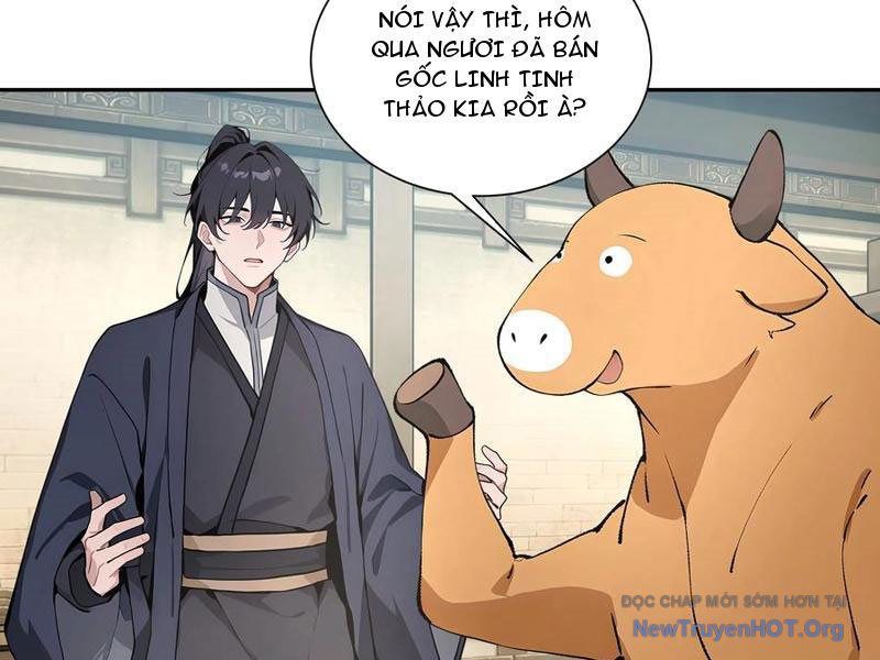 Bách Thê Phổ: Thánh Nữ Đều Gọi Ta Là Phu Quân Chapter 64 - Trang 2