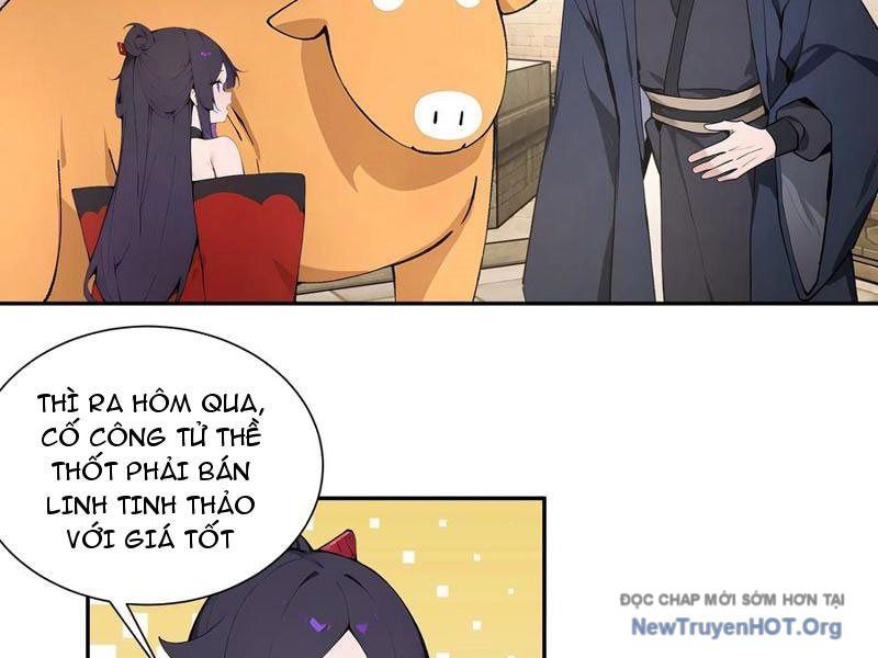 Bách Thê Phổ: Thánh Nữ Đều Gọi Ta Là Phu Quân Chapter 64 - Trang 2