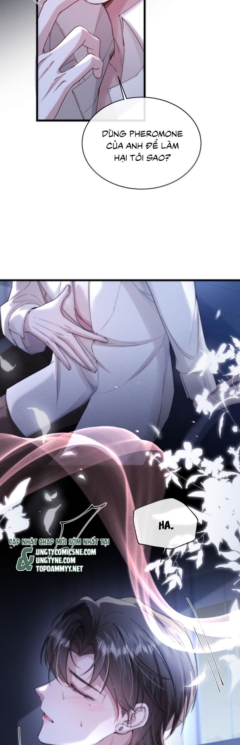 Kế Hoạch Tự Dưỡng Cuồng Khuyển Chapter 61 - Trang 2