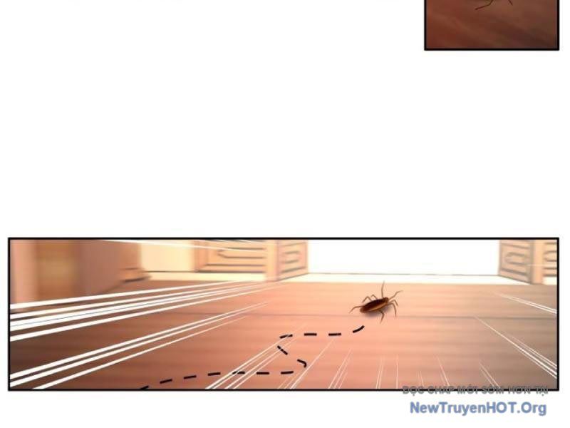 Phu Nhân Của Ta Là Giáo Chủ Ma Giáo Chapter 4 - Trang 2