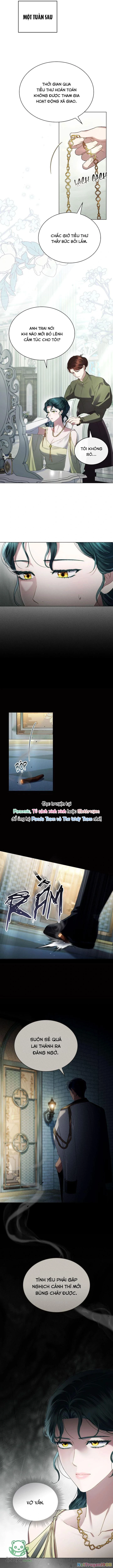 Giới Thượng Lưu Chapter 52 - Trang 2