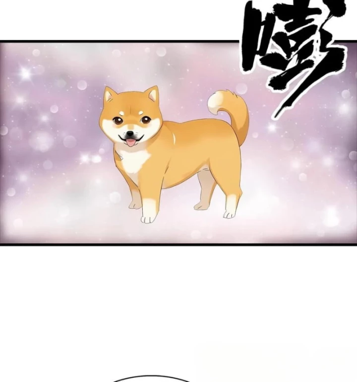 Đô Thị Thánh Thủ: Ta Là Y Võ Đỉnh Phong Chapter 124 - Trang 2