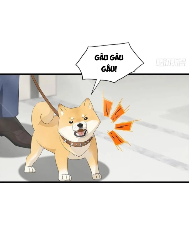 Đô Thị Thánh Thủ: Ta Là Y Võ Đỉnh Phong Chapter 124 - Trang 2